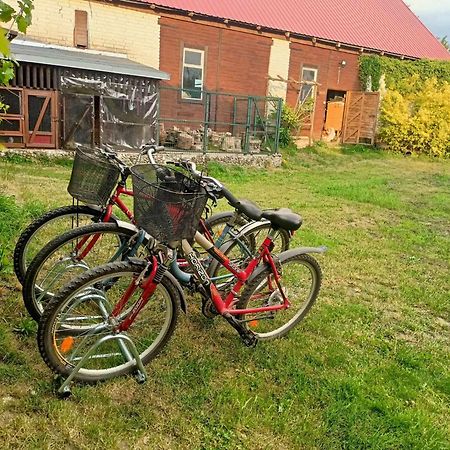 Malinowy Gaj - Agroturystyka Z Alpakami I Innymi Zwierzetami Swietajno  Zewnętrze zdjęcie