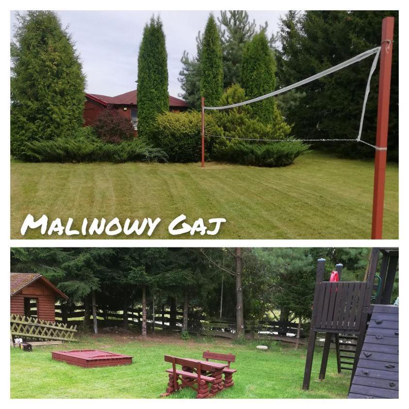 Malinowy Gaj - Agroturystyka Z Alpakami I Innymi Zwierzetami Swietajno  Zewnętrze zdjęcie