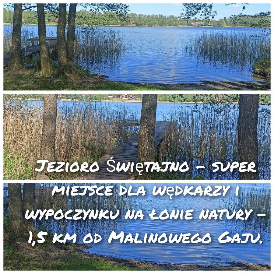 Malinowy Gaj - Agroturystyka Z Alpakami I Innymi Zwierzetami Swietajno  Zewnętrze zdjęcie