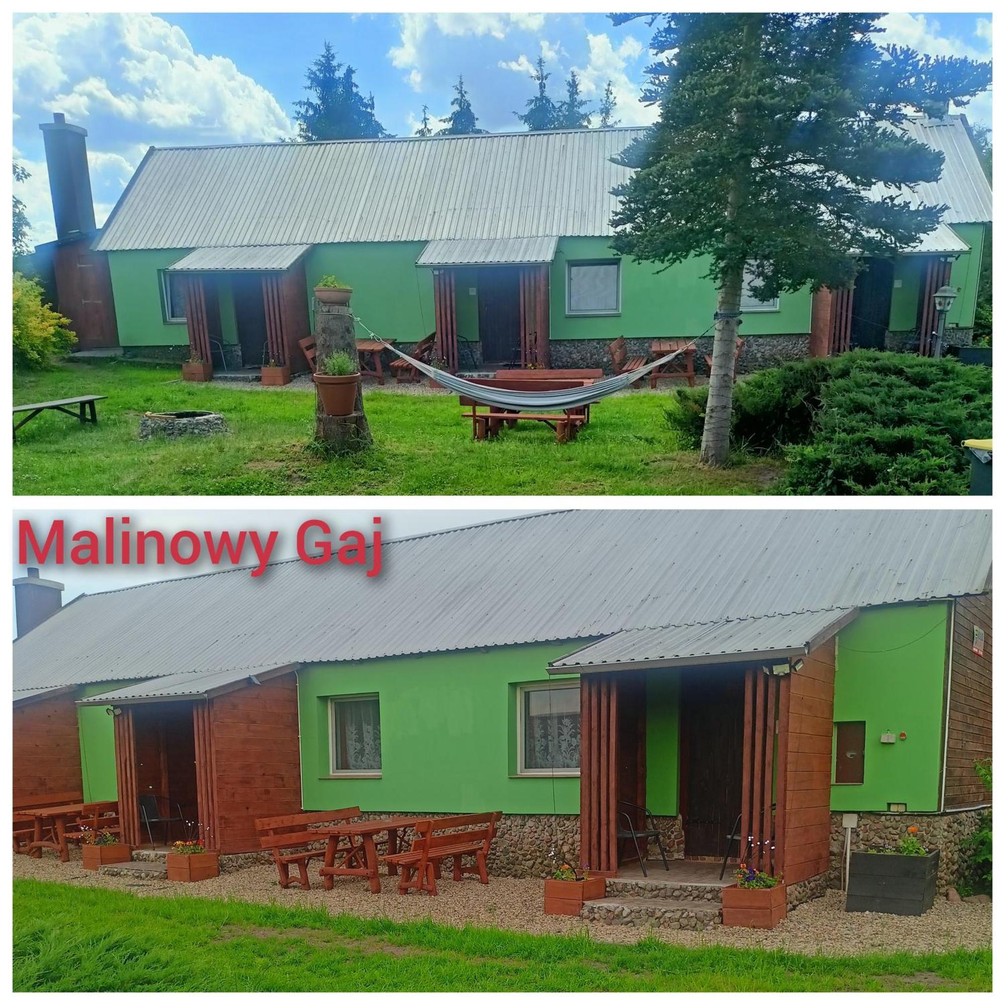 Malinowy Gaj - Agroturystyka Z Alpakami I Innymi Zwierzetami Swietajno  Zewnętrze zdjęcie